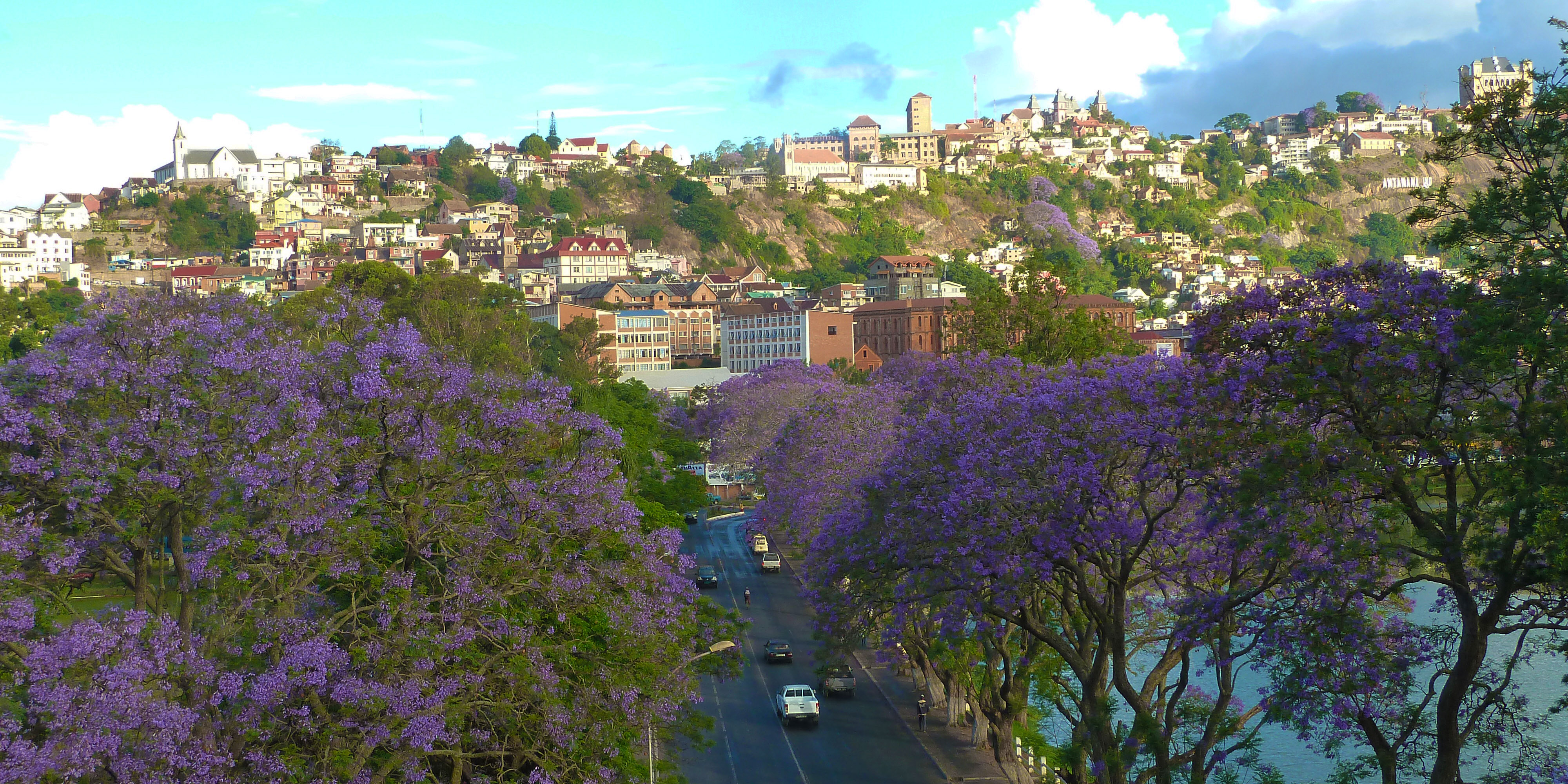 Antanarivo Tana.
                 Je vliegt naar de hoofdstad Antananarivo, (afgekort: Tana). 
                 De chauffeur wacht je op en brengt je naar het hotel gelegen in de stad